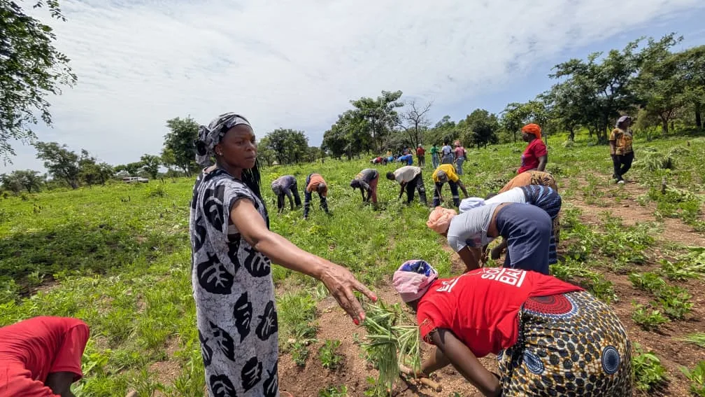 A woman handing a plant to another woman working in the field